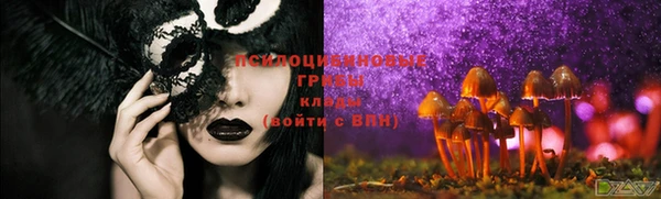 MDMA Богородицк