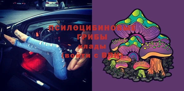 скорость Белокуриха